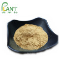 Low Pesticides Panax ginseng root extract ginsenosides 80%